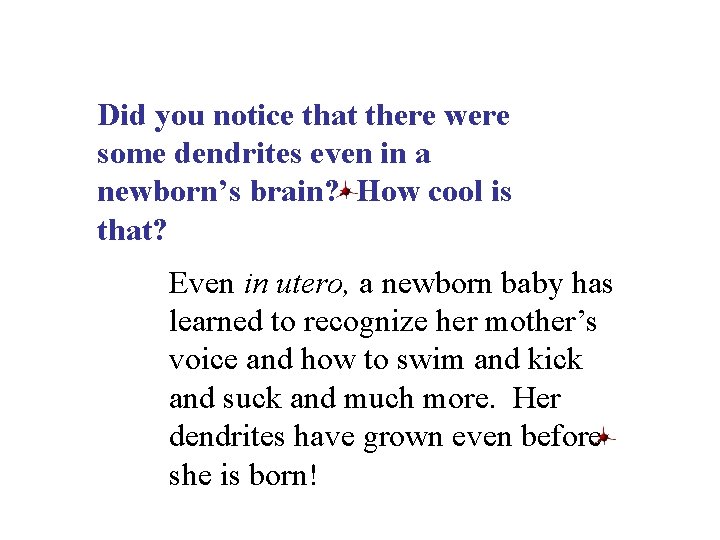 Did you notice that there were some dendrites even in a newborn’s brain? How