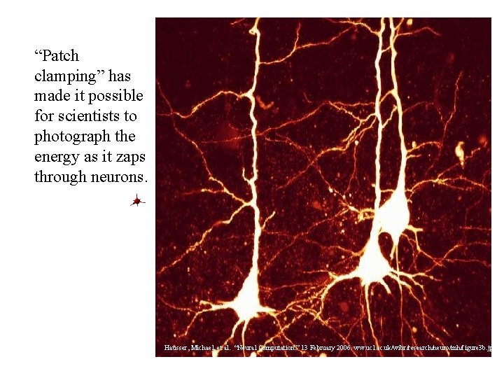 “Patch clamping” has made it possible for scientists to photograph the energy as it