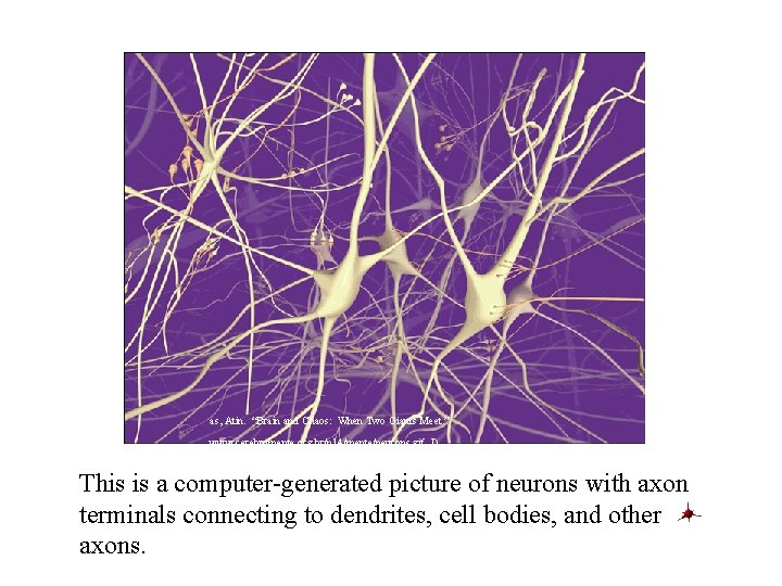 as, Atin. “Brain and Chaos: When Two Giants Meet. ” www. cerebromente. org. br/n