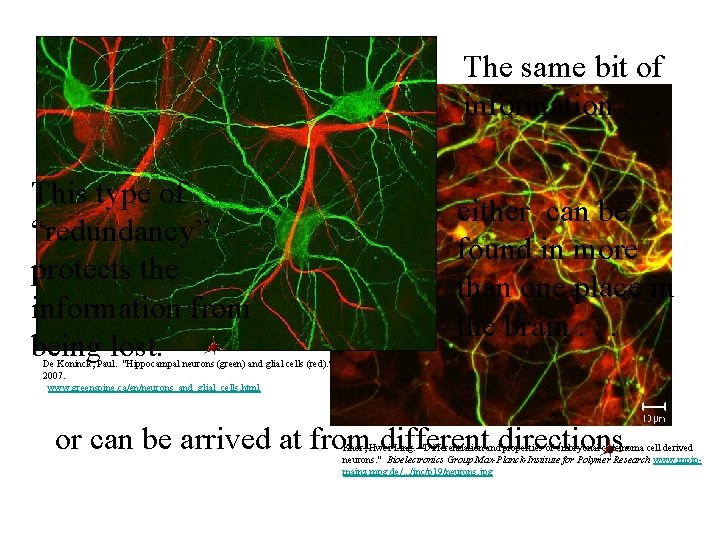 The same bit of information. . . This type of “redundancy” protects the information