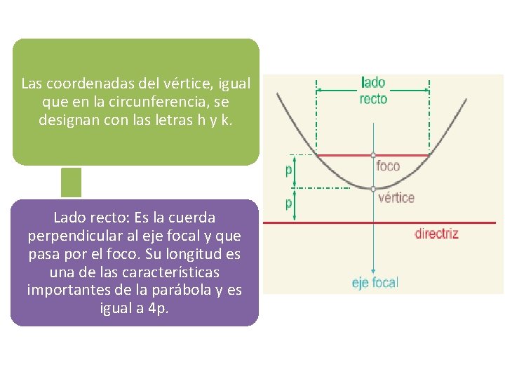 PARTES Las coordenadas del vértice, igual que en la circunferencia, se designan con las