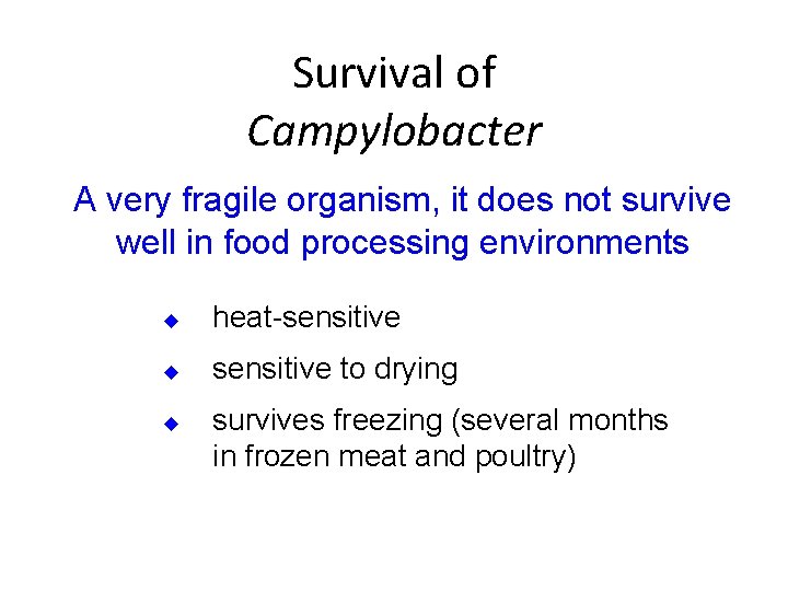 Survival of Campylobacter A very fragile organism, it does not survive well in food