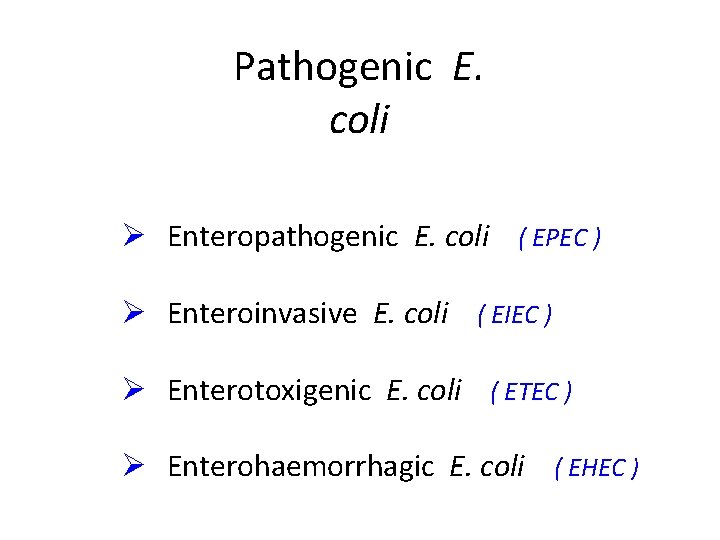 Pathogenic E. coli Ø Enteropathogenic E. coli ( EPEC ) Ø Enteroinvasive E. coli