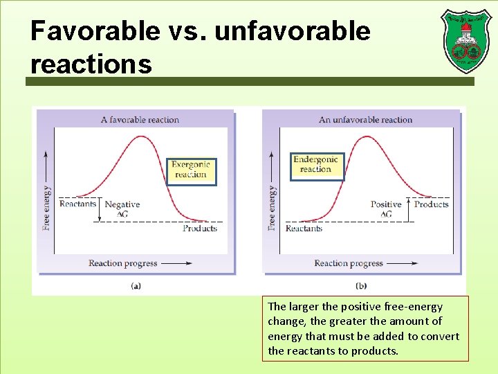 Favorable vs. unfavorable reactions d d The larger the positive free-energy change, the greater