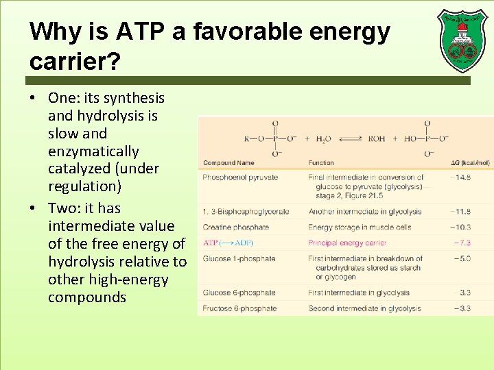 Why is ATP a favorable energy carrier? • One: its synthesis and hydrolysis is