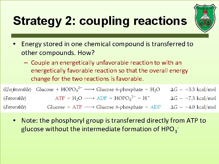 Strategy 2: coupling reactions • Energy stored in one chemical compound is transferred to