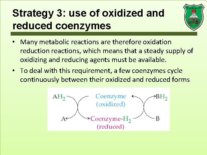 Strategy 3: use of oxidized and reduced coenzymes • Many metabolic reactions are therefore