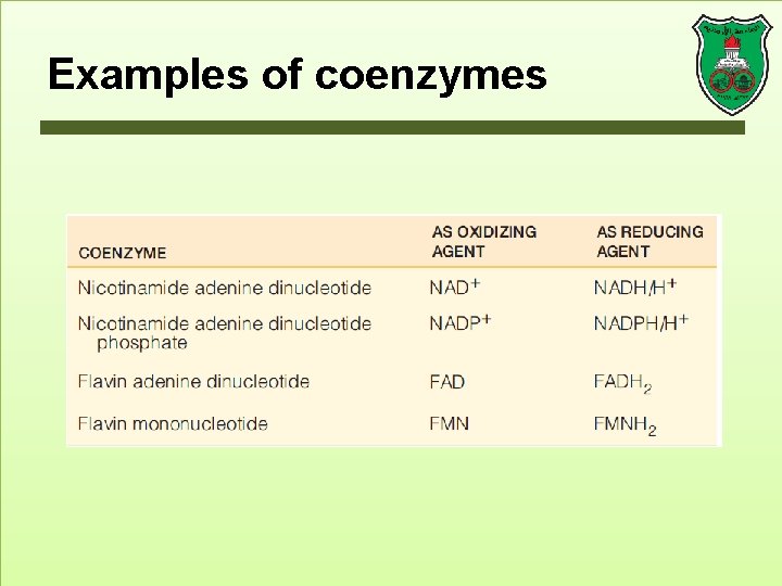 Examples of coenzymes 