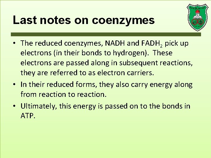 Last notes on coenzymes • The reduced coenzymes, NADH and FADH 2 pick up