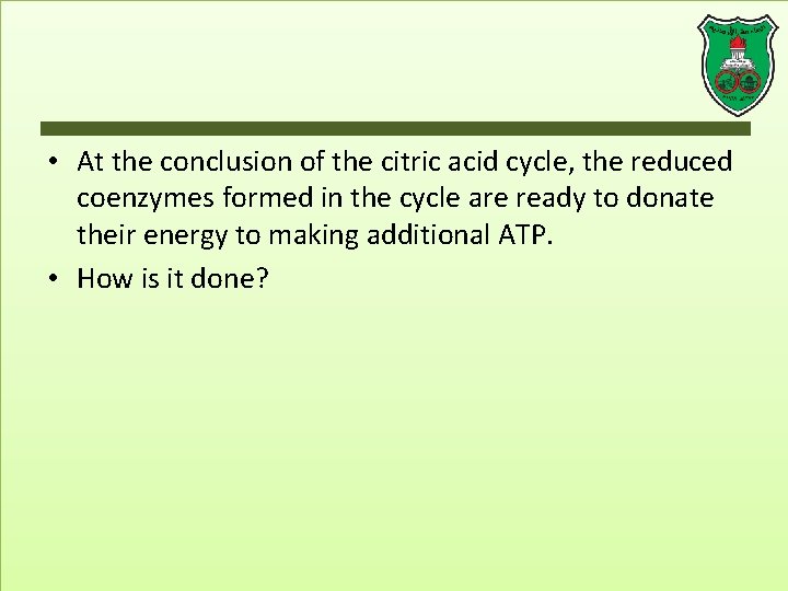  • At the conclusion of the citric acid cycle, the reduced coenzymes formed