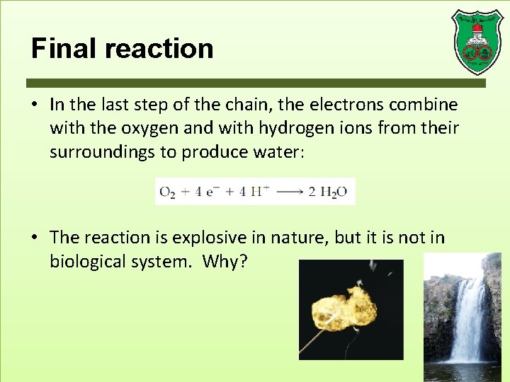 Final reaction • In the last step of the chain, the electrons combine with