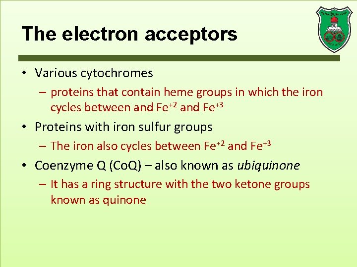 The electron acceptors • Various cytochromes – proteins that contain heme groups in which