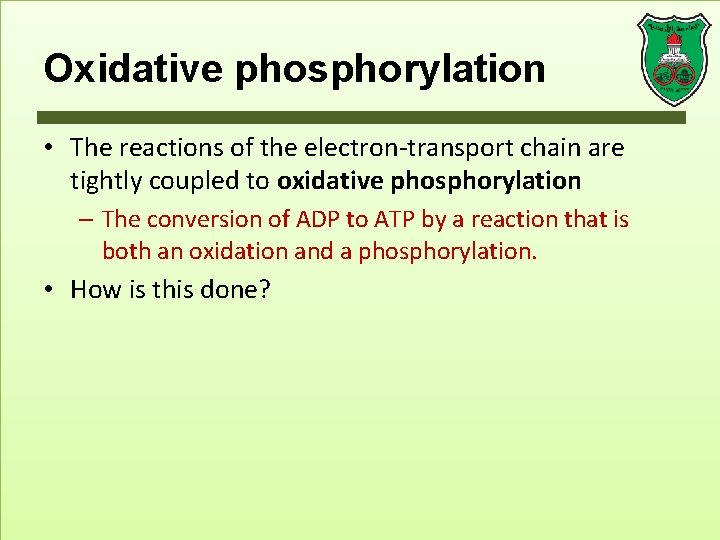 Oxidative phosphorylation • The reactions of the electron-transport chain are tightly coupled to oxidative
