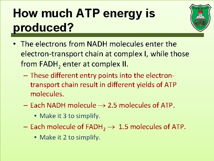 How much ATP energy is produced? • The electrons from NADH molecules enter the