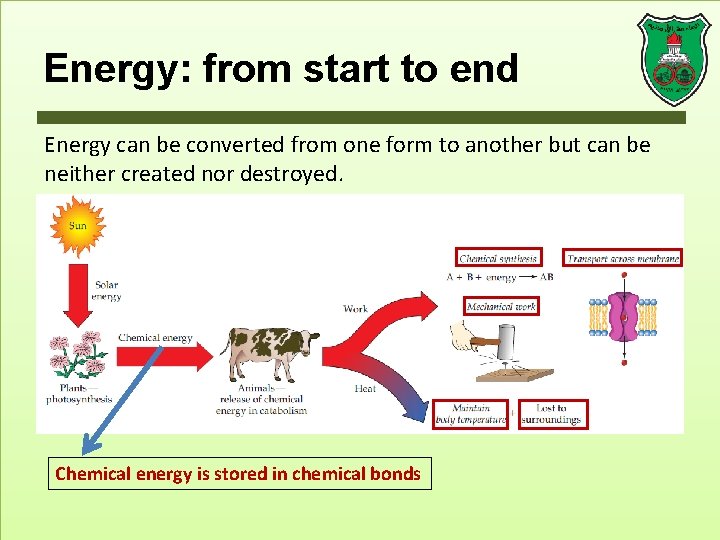 Energy: from start to end Energy can be converted from one form to another