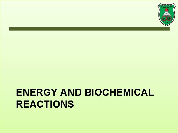 ENERGY AND BIOCHEMICAL REACTIONS 