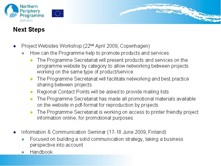 Next Steps l Project Websites Workshop (22 nd April 2009, Copenhagen) l How can