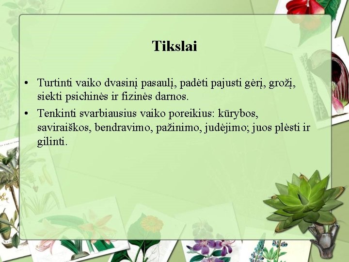 Tikslai • Turtinti vaiko dvasinį pasaulį, padėti pajusti gėrį, grožį, siekti psichinės ir fizinės