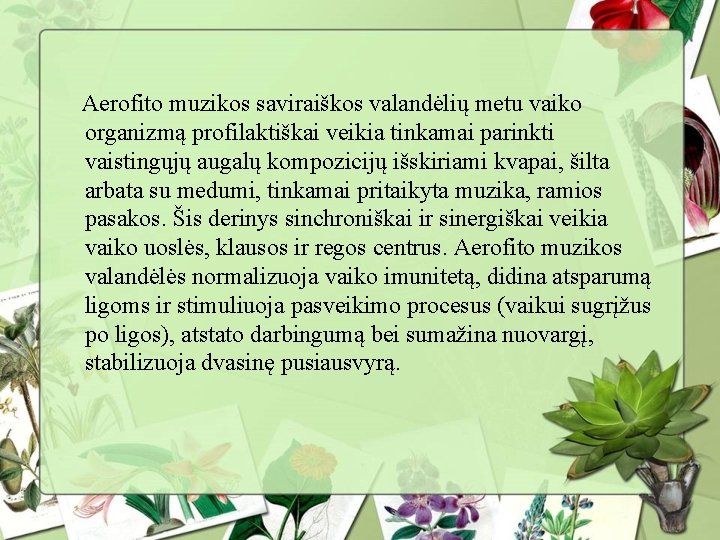 Aerofito muzikos saviraiškos valandėlių metu vaiko organizmą profilaktiškai veikia tinkamai parinkti vaistingųjų augalų kompozicijų