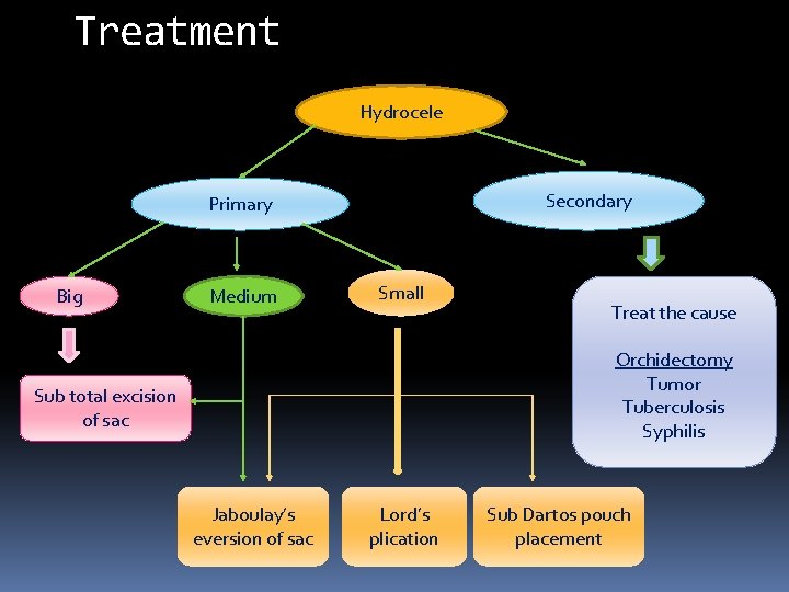 Treatment Hydrocele Secondary Primary Big Medium Small Treat the cause Orchidectomy Tumor Tuberculosis Syphilis