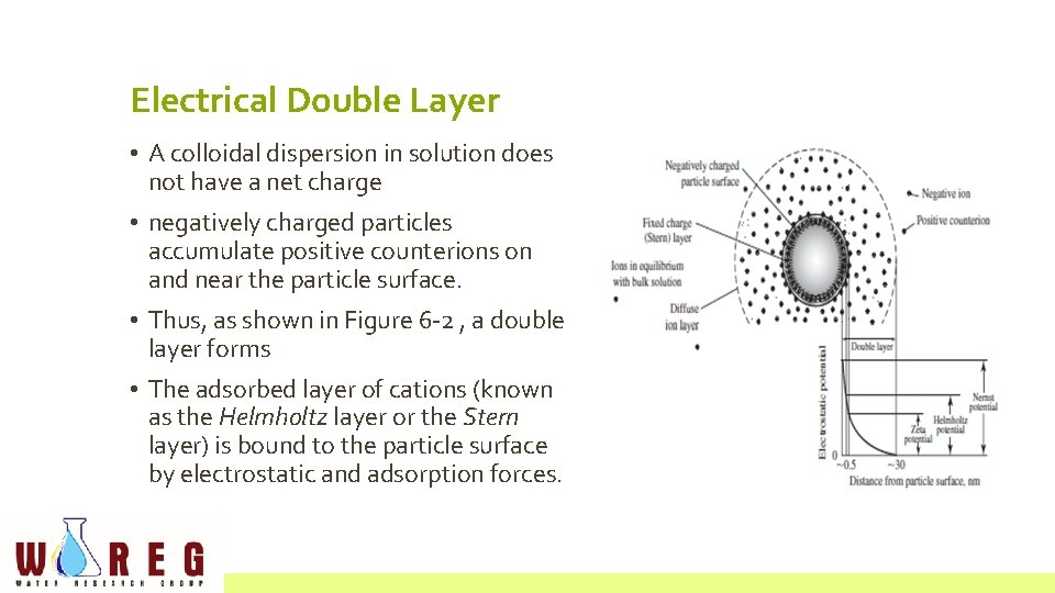 Electrical Double Layer • A colloidal dispersion in solution does not have a net