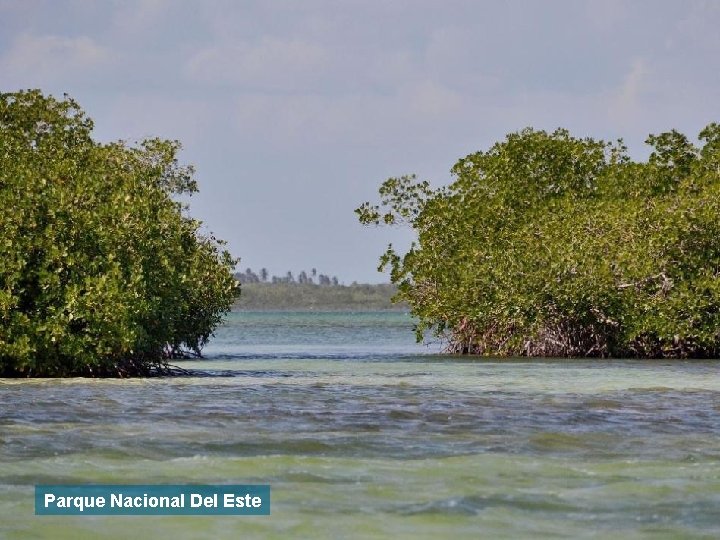 Parque Nacional Del Este 