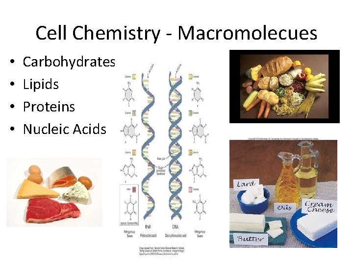 Cell Chemistry - Macromolecues • • Carbohydrates Lipids Proteins Nucleic Acids 