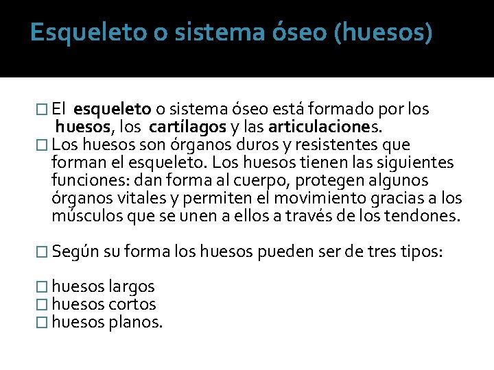 Esqueleto o sistema óseo (huesos) � El esqueleto o sistema óseo está formado por