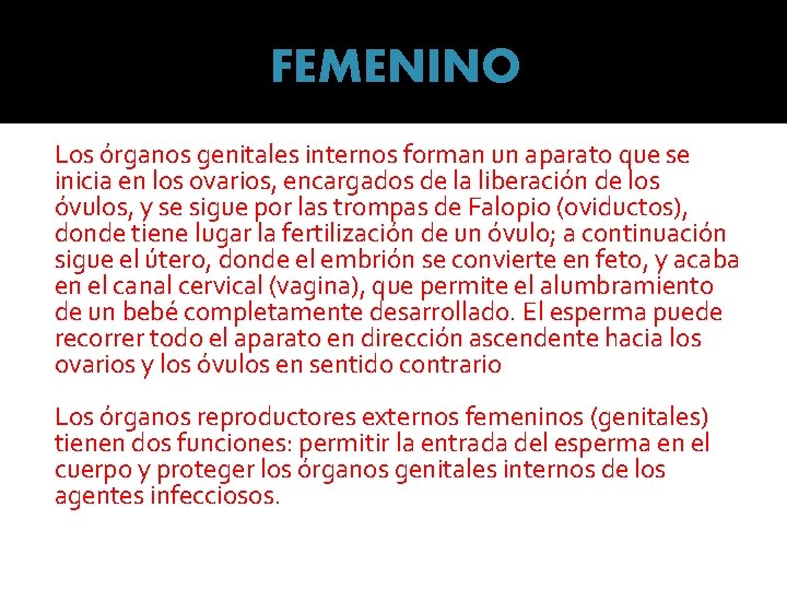 FEMENINO Los órganos genitales internos forman un aparato que se inicia en los ovarios,