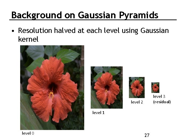 Background on Gaussian Pyramids • Resolution halved at each level using Gaussian kernel level