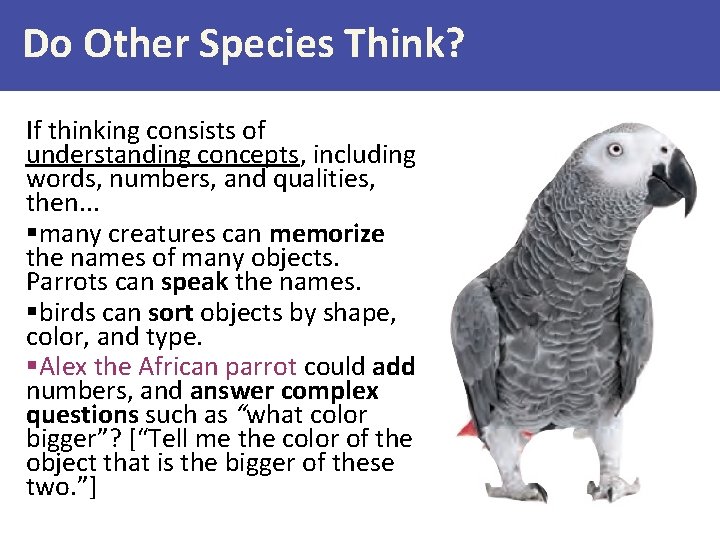 Do Other Species Think? If thinking consists of understanding concepts, including words, numbers, and