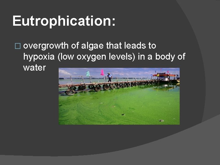 Eutrophication: � overgrowth of algae that leads to hypoxia (low oxygen levels) in a