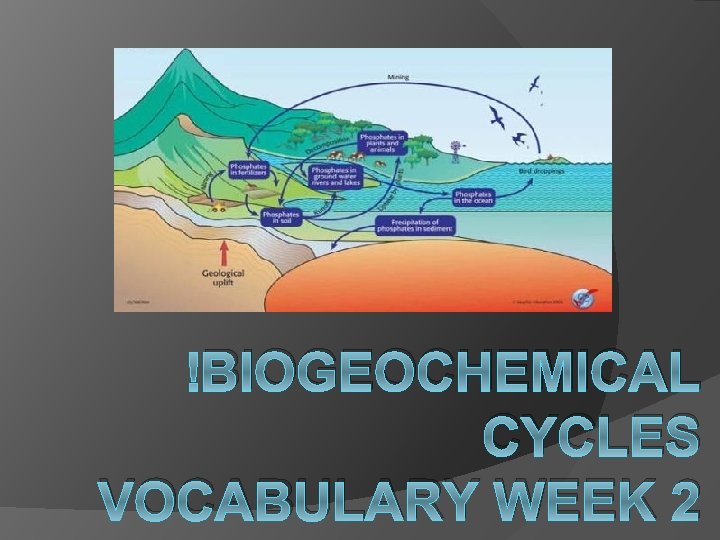 BIOGEOCHEMICAL CYCLES VOCABULARY WEEK 2 