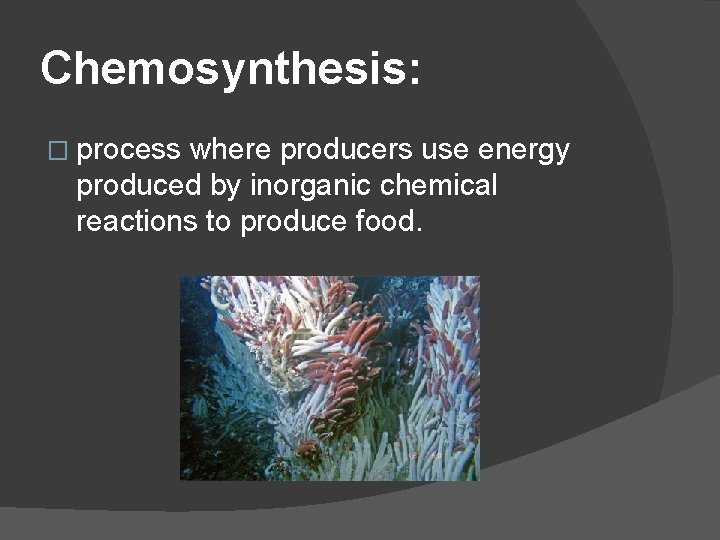 Chemosynthesis: � process where producers use energy produced by inorganic chemical reactions to produce