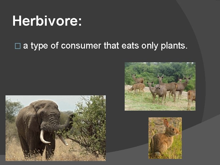 Herbivore: �a type of consumer that eats only plants. 