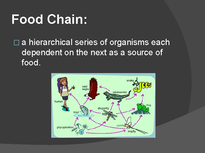Food Chain: �a hierarchical series of organisms each dependent on the next as a