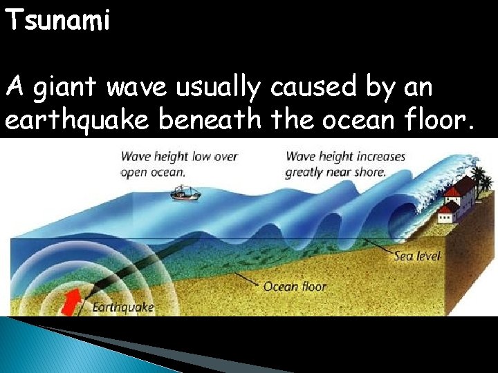 Tsunami A giant wave usually caused by an earthquake beneath the ocean floor. 