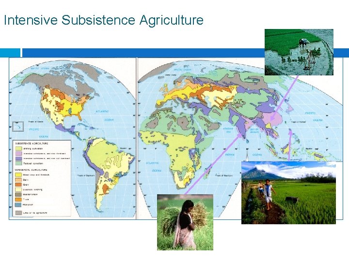 Intensive Subsistence Agriculture 