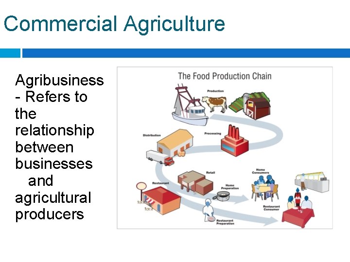 Commercial Agriculture Agribusiness - Refers to the relationship between businesses and agricultural producers 