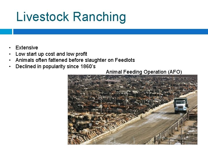 Livestock Ranching • • Extensive Low start up cost and low profit Animals often