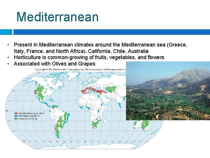 Mediterranean • Present in Mediterranean climates around the Mediterranean sea (Greece, Italy, France, and