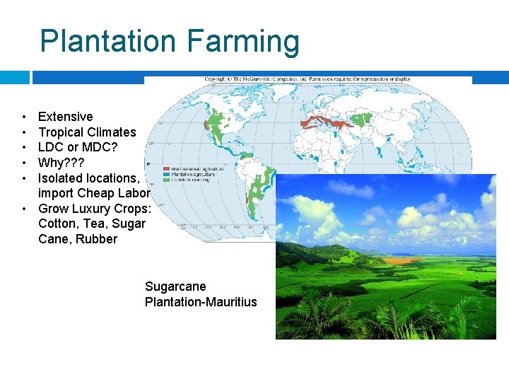 Plantation Farming • • • Extensive Tropical Climates LDC or MDC? Why? ? ?