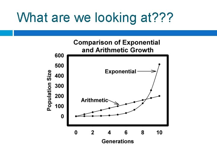 What are we looking at? ? ? 