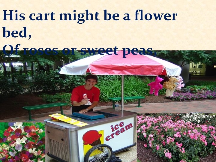 His cart might be a flower bed, Of roses or sweet peas, 