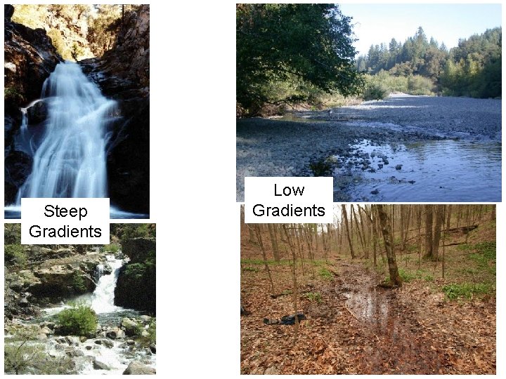 Steep Gradients Low Gradients 