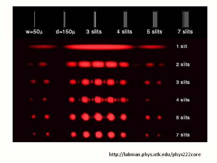 http: //labman. phys. utk. edu/phys 222 core 