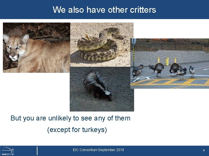 We also have other critters But you are unlikely to see any of them