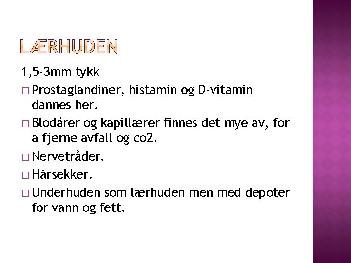 1, 5 -3 mm tykk � Prostaglandiner, histamin og D-vitamin dannes her. � Blodårer