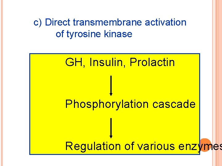 c) Direct transmembrane activation of tyrosine kinase GH, Insulin, Prolactin Phosphorylation cascade Regulation of