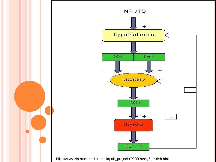 http: //www. elp. manchester. ac. uk/pub_projects/2000/mnby 6 kas/tsh. htm 